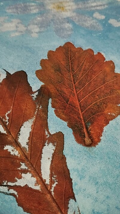 découverte des cyanotypes sur cuir (incroyable !)