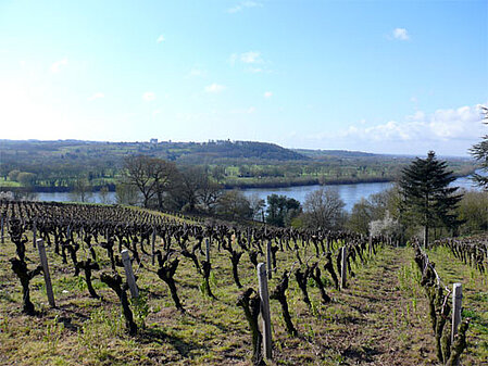 Vue sur la Loire des Génaudières