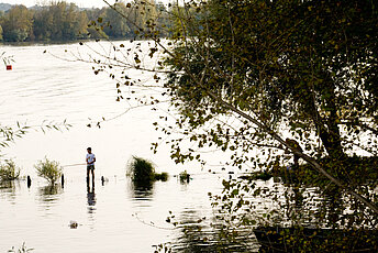 Pêche à Beau-Rivage